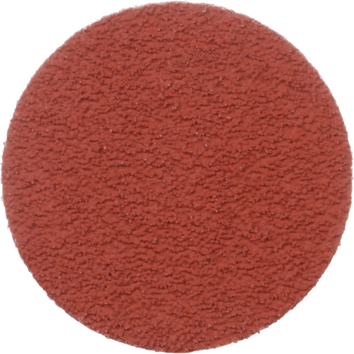 Disque &agrave; d&eacute;ligner durable II Roloc Cubitron, 2" dia., Grain 60+, C&eacute;ramique Groupe Belzile Dickner