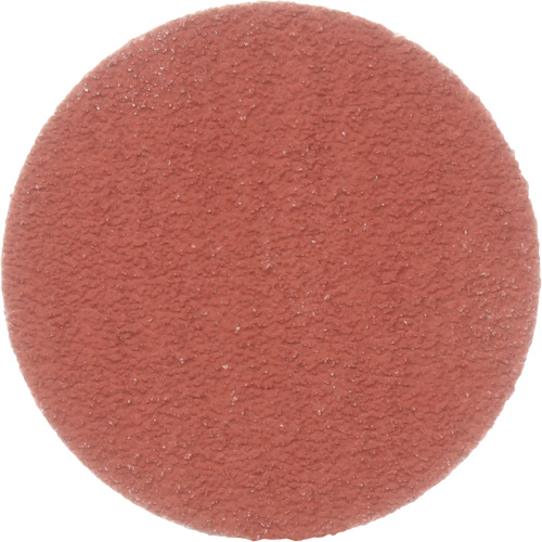 Cubitron II Roloc Durable Edge Disc, 2" Dia., 80+ Grit, Ceramic Groupe Belzile Dickner