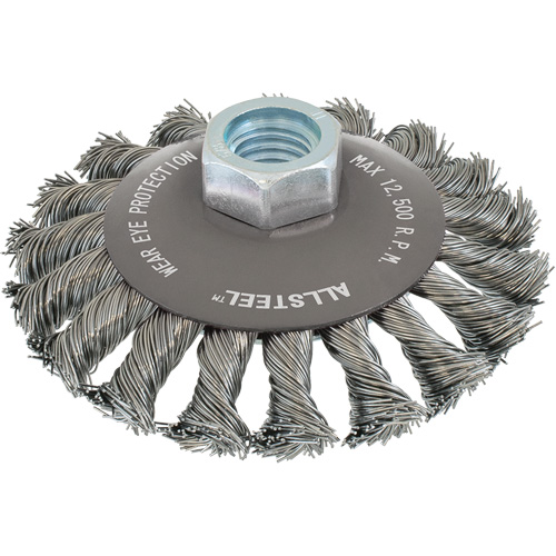 AllSteel Wire Brush, 5" Dia., 0.02" Fill, 5/8"-11 Arbor, Steel Groupe Belzile Dickner
