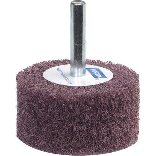 Meule &agrave; lamelles abrasives Bear-Tex Groupe Belzile Dickner