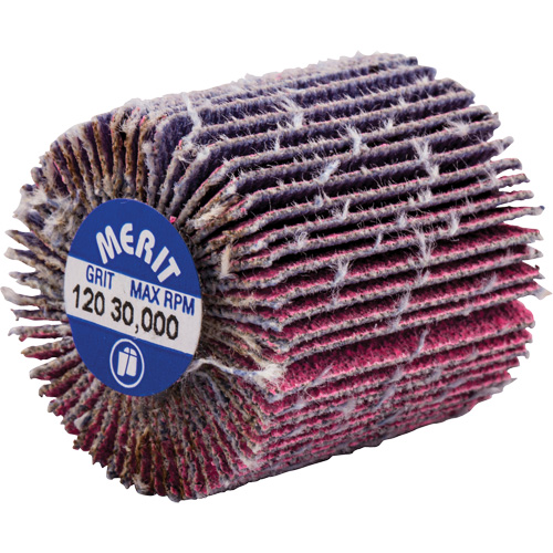 Mini-meule &agrave; lamelles filet&eacute;es, C&eacute;ramique d'alumine, Grain 120, 1" x 1" x 1/4"-20 Groupe Belzile Dickner