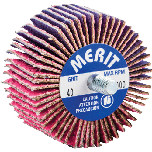 Threaded Mini Flap Wheel, Ceramic Alumina, 40 Grit, 2" x 1" x 1/4"-20 Groupe Belzile Dickner