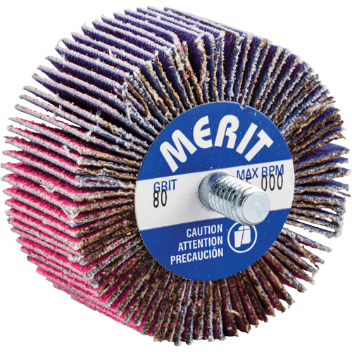 Threaded Mini Flap Wheel, Ceramic Alumina, 80 Grit, 2" x 1" x 1/4"-20 Groupe Belzile Dickner