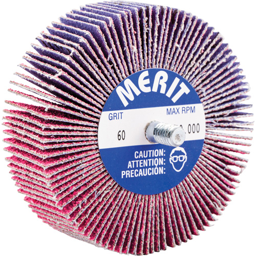 Threaded Mini Flap Wheel, Ceramic Alumina, 60 Grit, 3" x 1" x 1/4"-20 Groupe Belzile Dickner