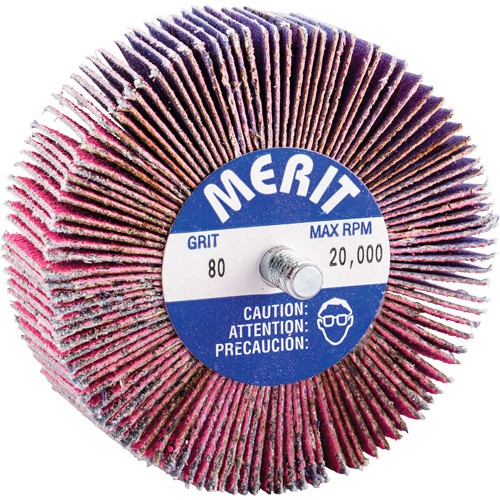 Threaded Mini Flap Wheel, Ceramic Alumina, 80 Grit, 3" x 1" x 1/4"-20 Groupe Belzile Dickner
