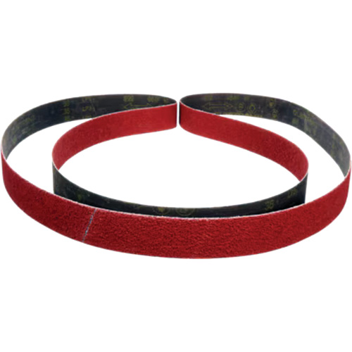 Cubitron II Abrasive Belt 984F, 2" W x 15-5/8" L, Ceramic, 36+ Grit Groupe Belzile Dickner