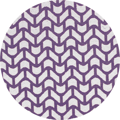 Xtract Cubitron II Net Disc, 5" Dia., 220 Grit, Ceramic Groupe Belzile Dickner