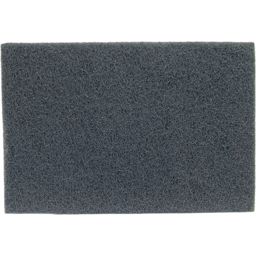 Tampons manuels Bear-Tex, Carbure de silicium, 6" x 9", Grain Moyen Groupe Belzile Dickner