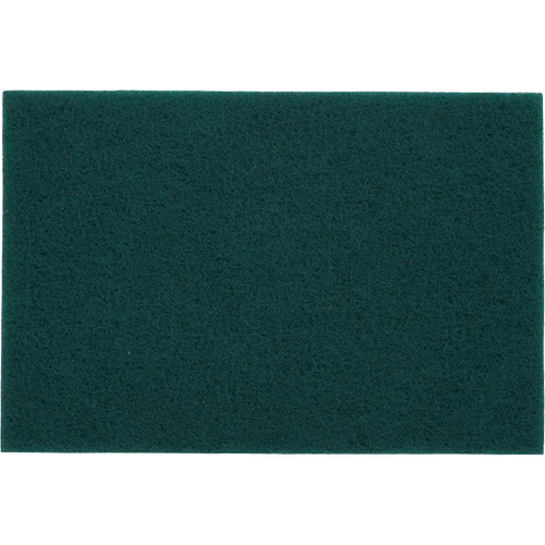 Tampons manuels Bear-Tex, Oxyde d'aluminium, 6" x 9", Grain Tr&egrave;s fin Groupe Belzile Dickner