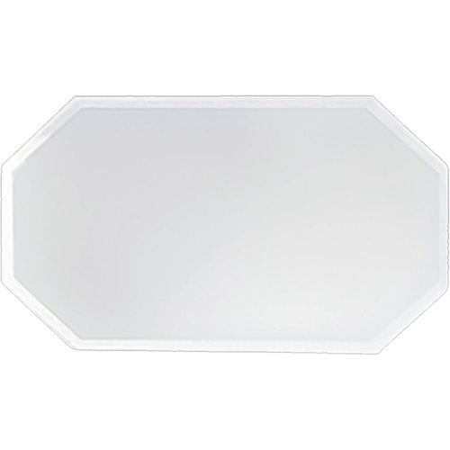 Replacement Plastic Shield for Suction & Pressure Cabinets Groupe Belzile Dickner