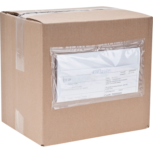 Packing List Envelopes, 4" L x 5" W, Endloading Style Groupe Belzile Dickner