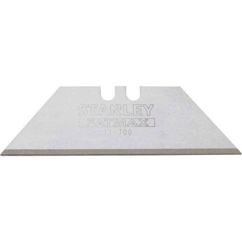 Lames de rechange FATMAX, Style Simple Groupe Belzile Dickner