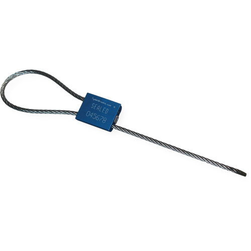 Flexsecure FS35 Security Seal, 12", Metal, Cable Seal Groupe Belzile Dickner