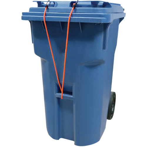 Sangles d'arrimage &eacute;lastiques, 12" Groupe Belzile Dickner