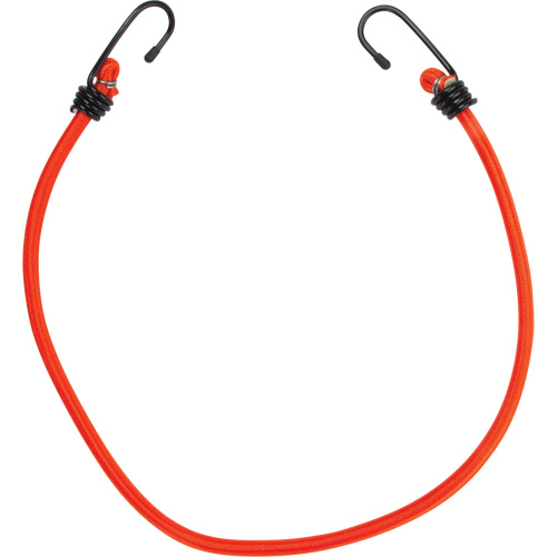 Bungee Cord Tie Downs, 24" Groupe Belzile Dickner