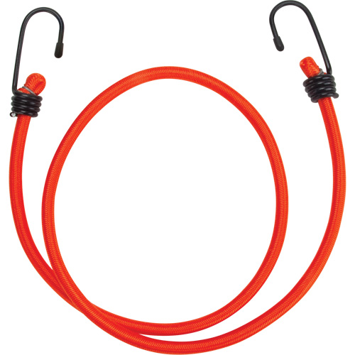 Sangles d'arrimage &eacute;lastiques, 36" Groupe Belzile Dickner