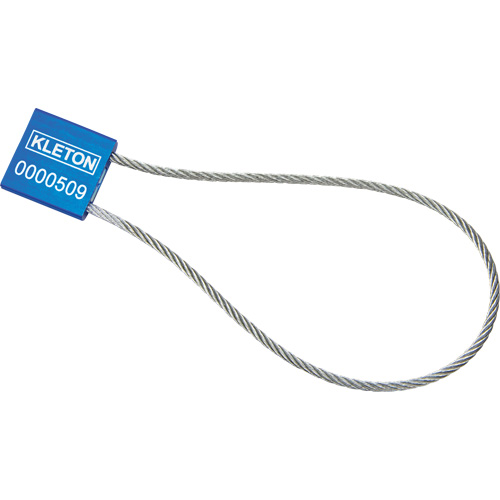 Scell&eacute;s de haute s&eacute;curit&eacute;, 12", M&eacute;tal, Scell&eacute; &agrave; c&acirc;ble Groupe Belzile Dickner