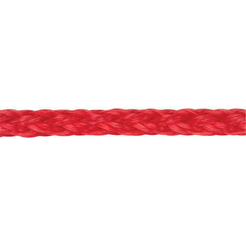 Corde rouge tress&eacute;e, Polypropyl&egrave;ne, 500' Groupe Belzile Dickner
