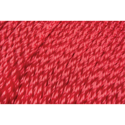 Corde rouge tress&eacute;e, Polypropyl&egrave;ne, 500' Groupe Belzile Dickner