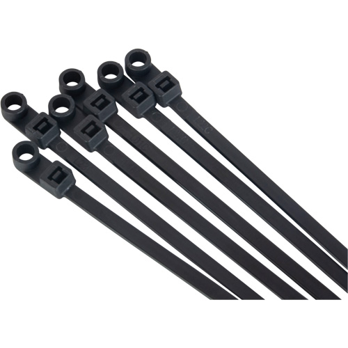 Attache-c&acirc;ble &agrave; visser, Longueur 8", R&eacute;sistance &agrave; la traction 50 lb, Noir Groupe Belzile Dickner