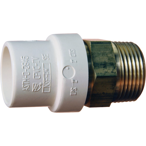 Threaded Pipe Adapter, Hub x MPT, 1-1/4" Dia., Brass/CPVC Groupe Belzile Dickner