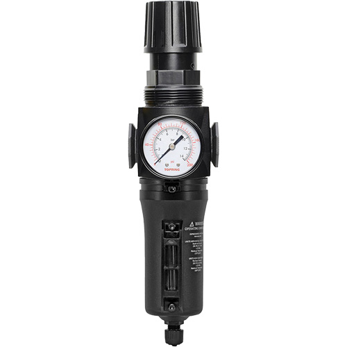 Filtre/r&eacute;gulateur drain manuel avec bol en m&eacute;tal Modulair 300, 1/4" NPT, 250 PSI, Capacit&eacute; de 5,1 oz liq. Groupe Belzile Dickner