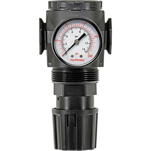 Regulator with Gauge Modulair 300, 1/4" NPT, 300 psi Max. PSI, In Line/Modular Groupe Belzile Dickner