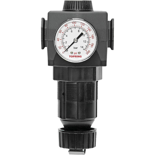 Regulator with Gauge Modulair 400, 3/4" NPTF, 125 PSI Max. PSI, In Line/Modular Groupe Belzile Dickner