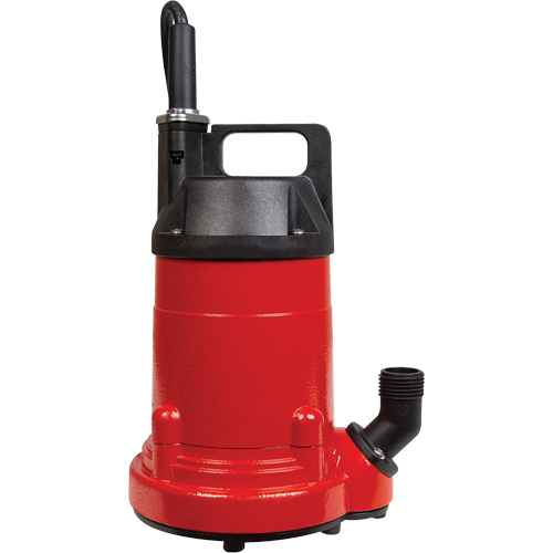 Pompe utilitaire en aluminium, 115 V, 1500 gal./h, 1/4 CV Groupe Belzile Dickner