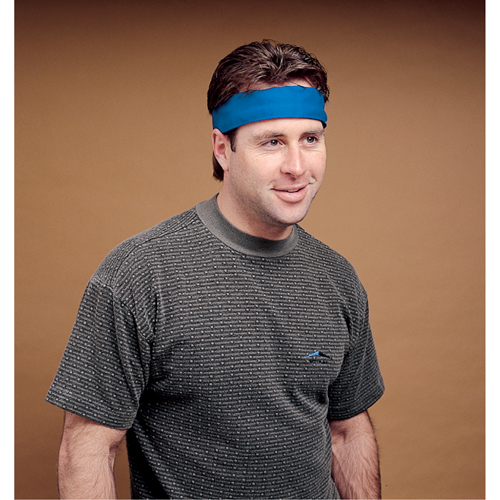 ALLEGRO INDUSTRIES Standard Cooling Wrap, Blue Groupe Belzile Dickner