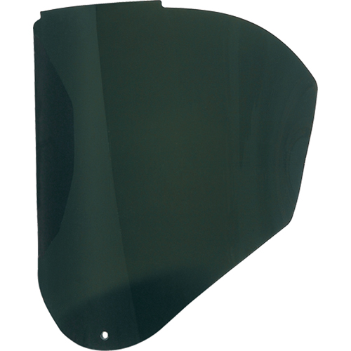 Visi&egrave;res de Rechange Bionic, Polycarbonate, Teinte 5,0 Groupe Belzile Dickner
