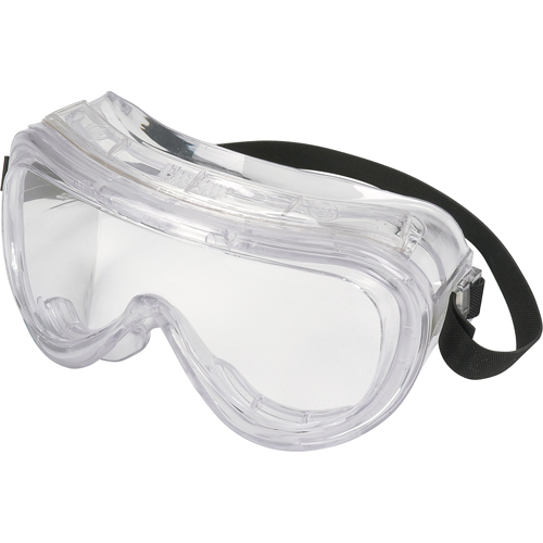 160 Series Safety Goggles, Clear Lens, Anti-Fog, Indirect Vent Groupe Belzile Dickner