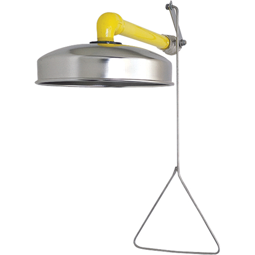 Horizontal Supply Emergency Shower Stations, Wall-Mount Groupe Belzile Dickner