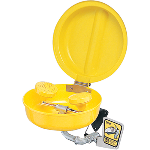 Eye/Face Wash With Cover, Pedestal Installation, Plastic Bowl Groupe Belzile Dickner
