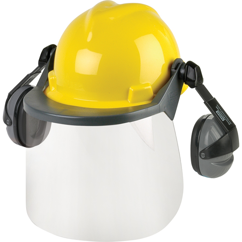 Head & Face Protection Systems Groupe Belzile Dickner