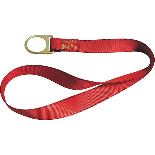 PointGuard Anchorage Connector Straps, D-Ring, Temporary Use Groupe Belzile Dickner