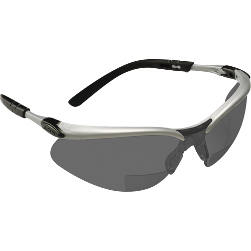 BX Reader Safety Glasses, Anti-Fog, Grey/Smoke, 2.0 Diopter Groupe Belzile Dickner