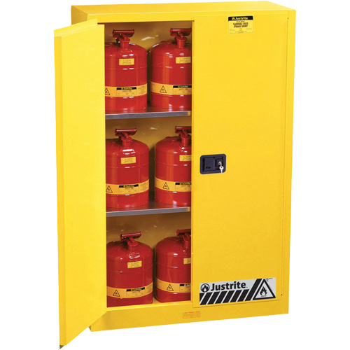 Armoires Sure-Grip EX pour produits inflammables, 45 gal., 2 Porte(s), 43" La x 65" h x 18" p Groupe Belzile Dickner