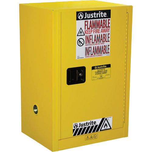 Armoire de s&eacute;curit&eacute; compacte pour produits inflammables EX Sure-Grip, 12 gal., 1 Porte(s), 23,25" La x 35" h x 18" p Groupe Belzile Dickner