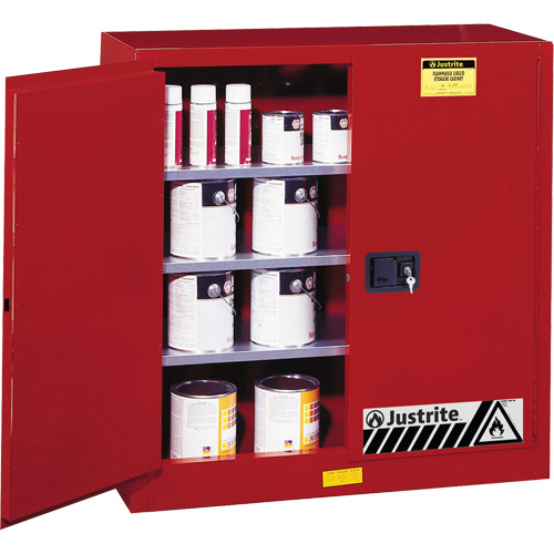 Armoire de s&eacute;curit&eacute; pour la peinture et les encres combustibles EX Sure-Grip, 40 gal., 3 tablettes Groupe Belzile Dickner