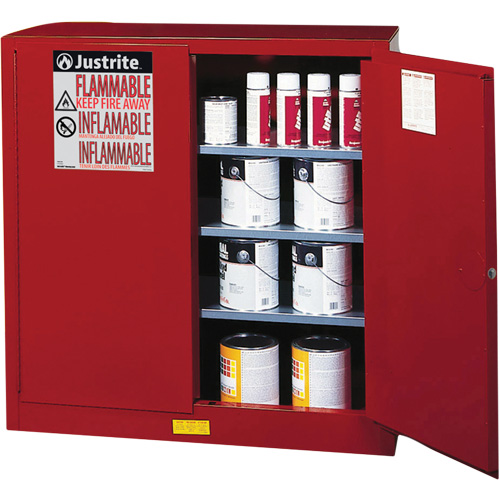 Armoire de s&eacute;curit&eacute; pour la peinture et les encres combustibles EX Sure-Grip, 40 gal., 3 tablettes Groupe Belzile Dickner