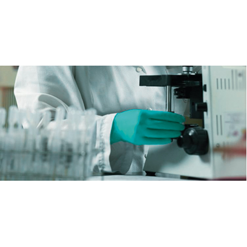 Gants jetables TouchNTuff, 7, Nitrile, 5 mils, Poudr&eacute;s, Vert Groupe Belzile Dickner