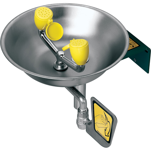 Eye/Face Wash Station, Wall-Mount Installation, Stainless Steel Bowl Groupe Belzile Dickner