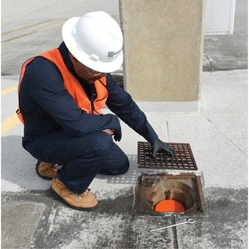 Drain Plug Groupe Belzile Dickner