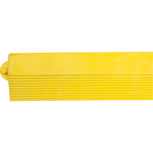 Rampe de bordure pour tapis Groupe Belzile Dickner