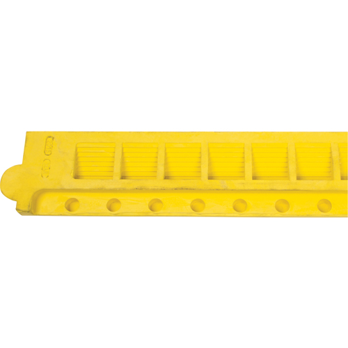 Rampe de bordure pour tapis Groupe Belzile Dickner