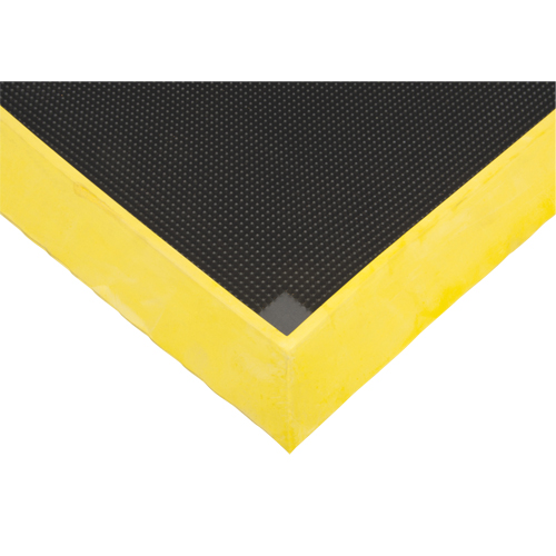 Tapis pour l'assainissement des chaussures, Caoutchouc, 2-2/3' la x 3-1/4' lo x 2-1/2" &eacute;pais, Jaune Groupe Belzile Dickner
