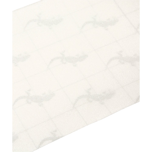 Premium Anti-Skid Tape, 6" x 60', Clear Groupe Belzile Dickner