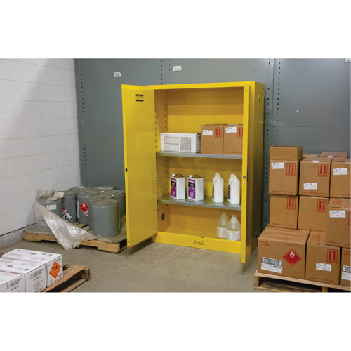 Flammable Storage Cabinet, 45 gal., 2 Door, 43" W x 65" H x 18" D Groupe Belzile Dickner