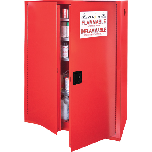 Paint/Ink Cabinet, 60 gal., 5 Shelves Groupe Belzile Dickner